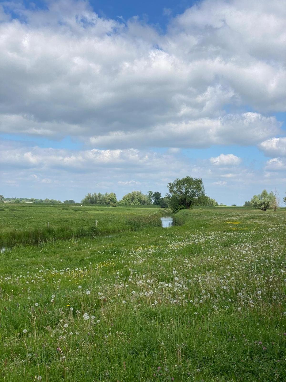 Landliebe Aulosen *