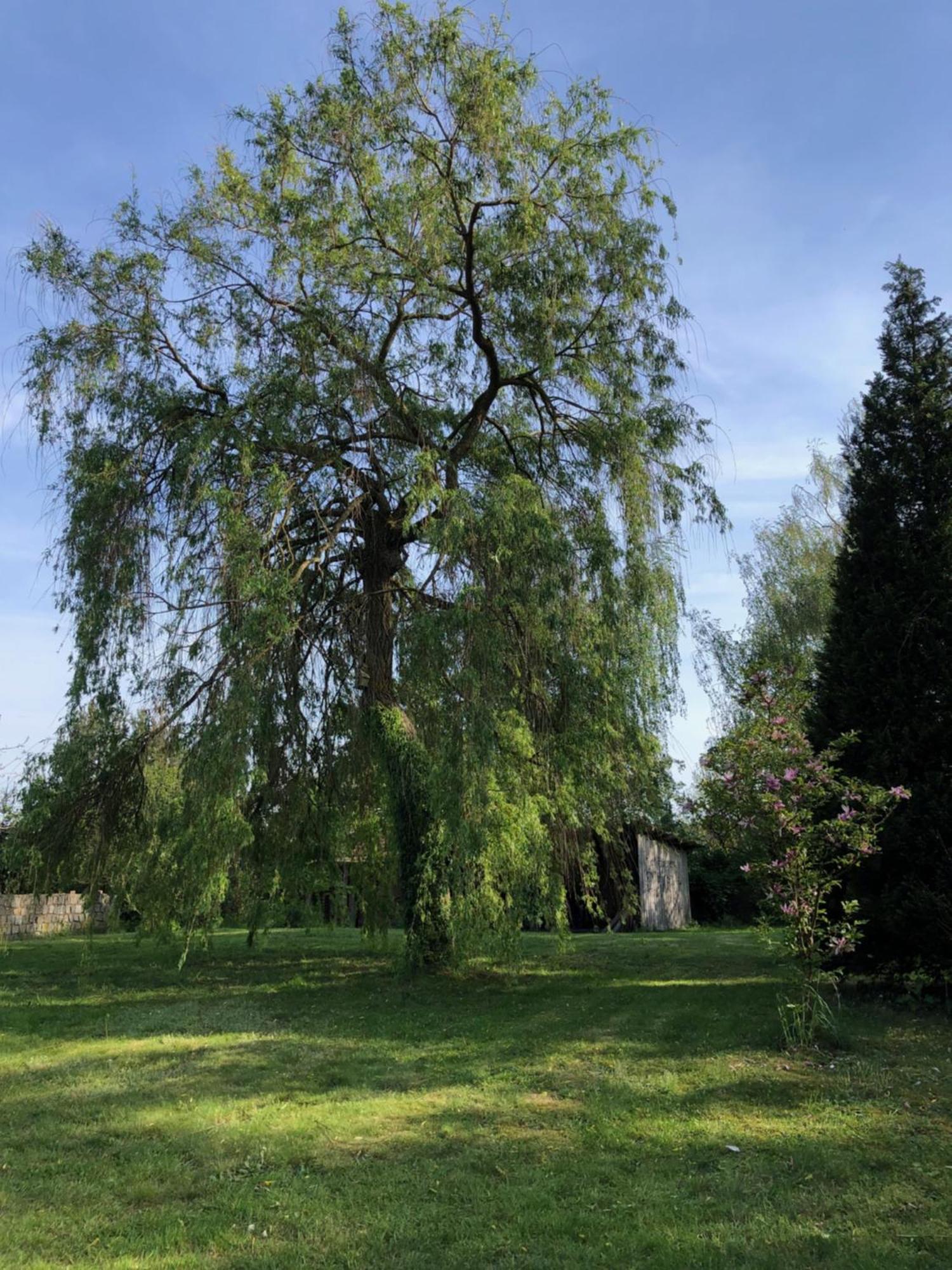 Landliebe Aulosen *