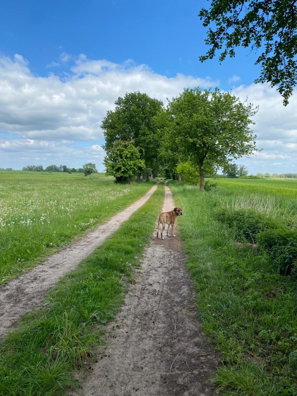 Landliebe Aulosen Appartement *